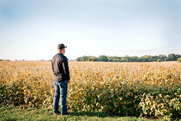 farmer at field