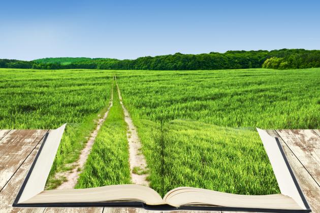 book growing into field