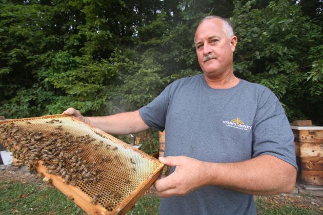 Man with honeycomb